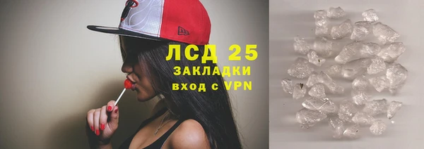ПСИЛОЦИБИНОВЫЕ ГРИБЫ Лиски